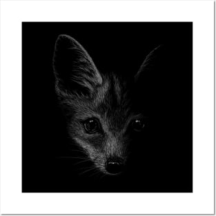 Fox Illustration Pencil Drawing Fox In The Dark Posters and Art